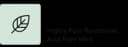 Mintnext® logo