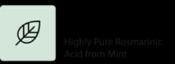 Mintnext® logo